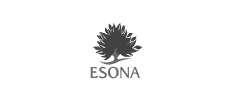 Esona Online